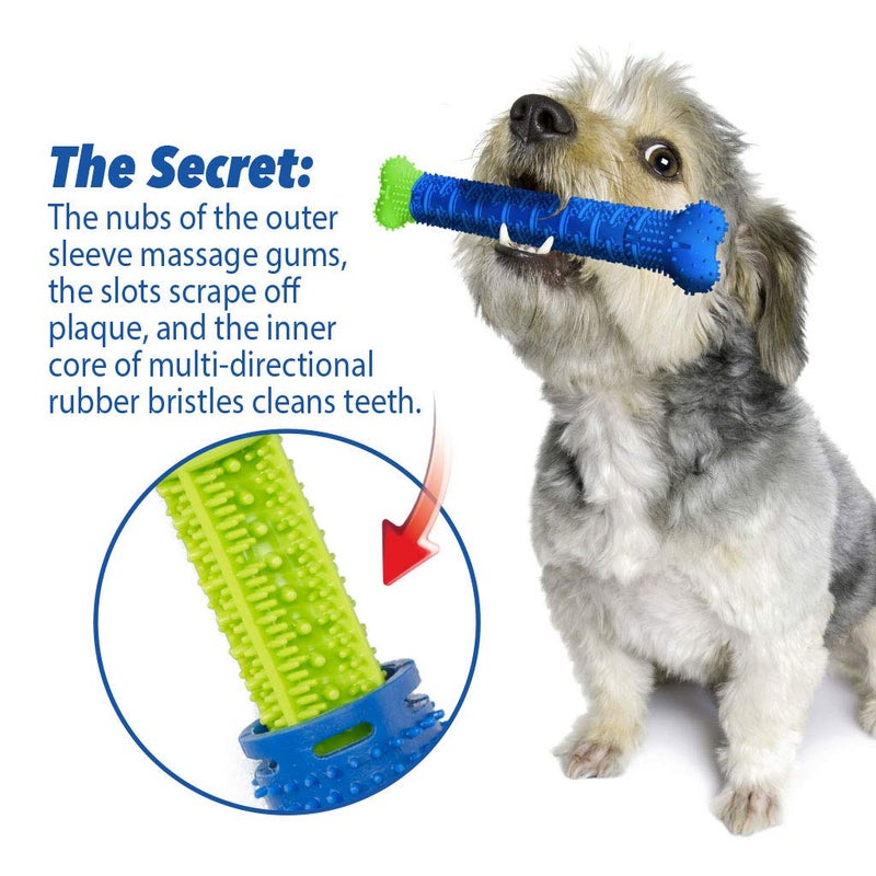 BulbHead Chewbrush Toothbrush and Toy - No Dog Toothpaste Required - Great Teeth Cleaning Toy (1 Pack) - Image 4